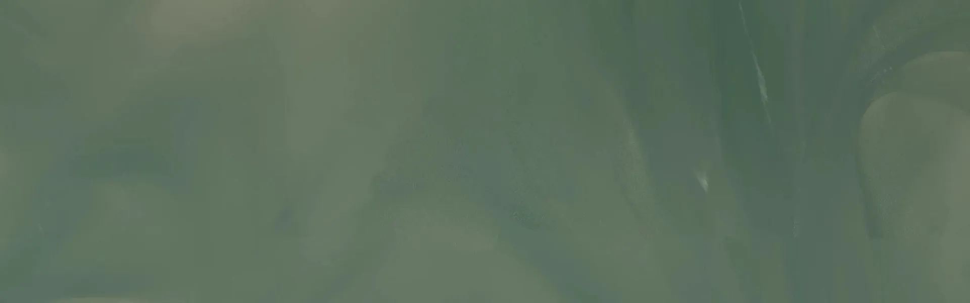 Woningontruiming Harlingen