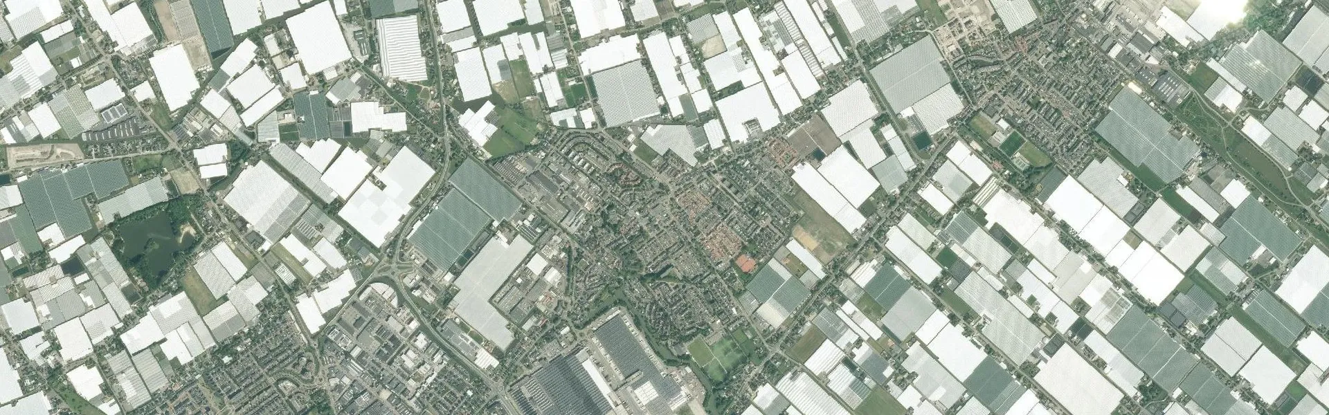 Woningontruiming Westland